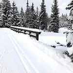 Mountain * Kořenov