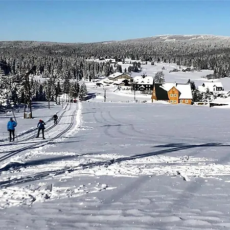 Mountain Chalet *