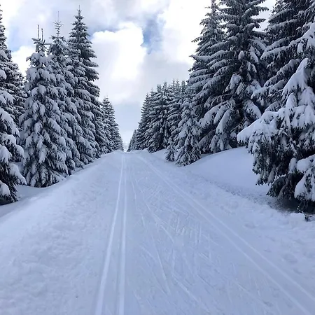 Mountain *