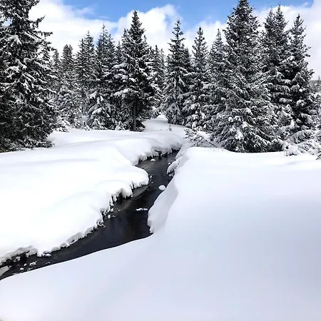 Mountain *