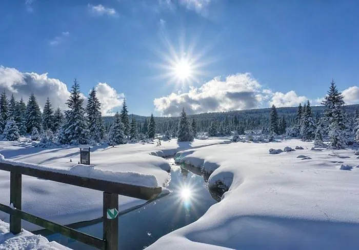 Chalet Mountain Korenov