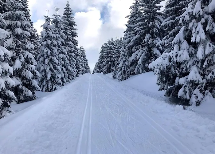 Mountain *