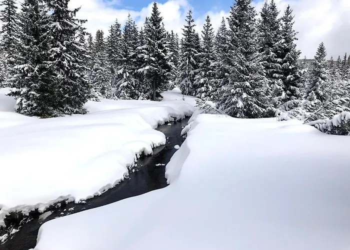 Mountain *